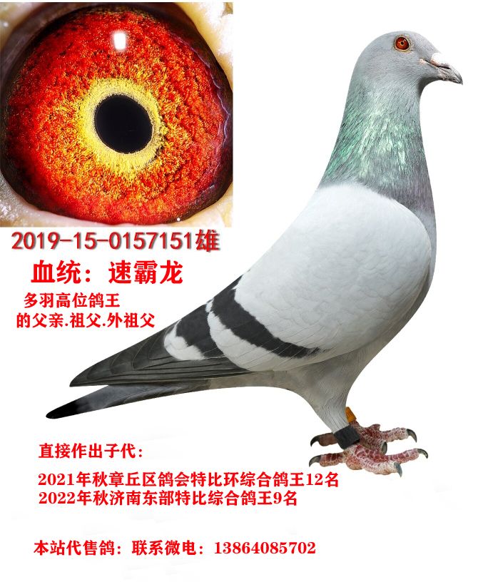 ����9����