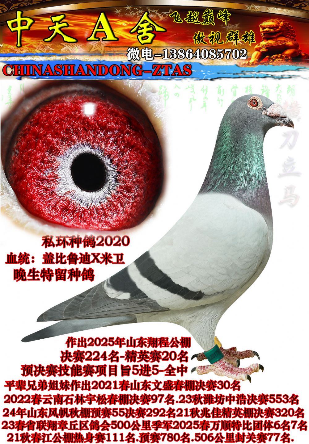 �Ǳ�ֱ��2020