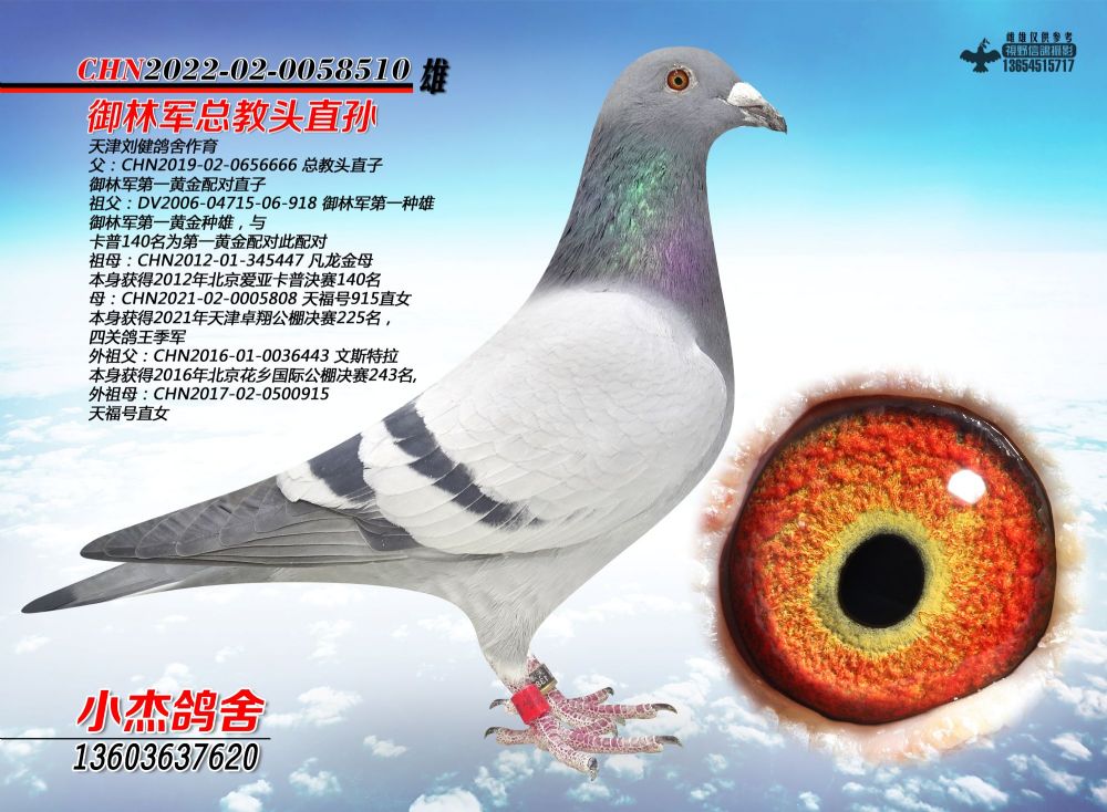 �����^ֱ�O