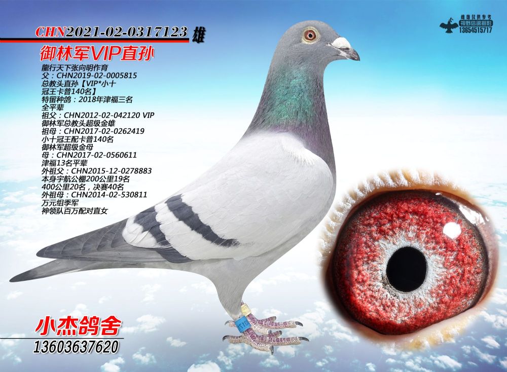 ������VIPֱ�O