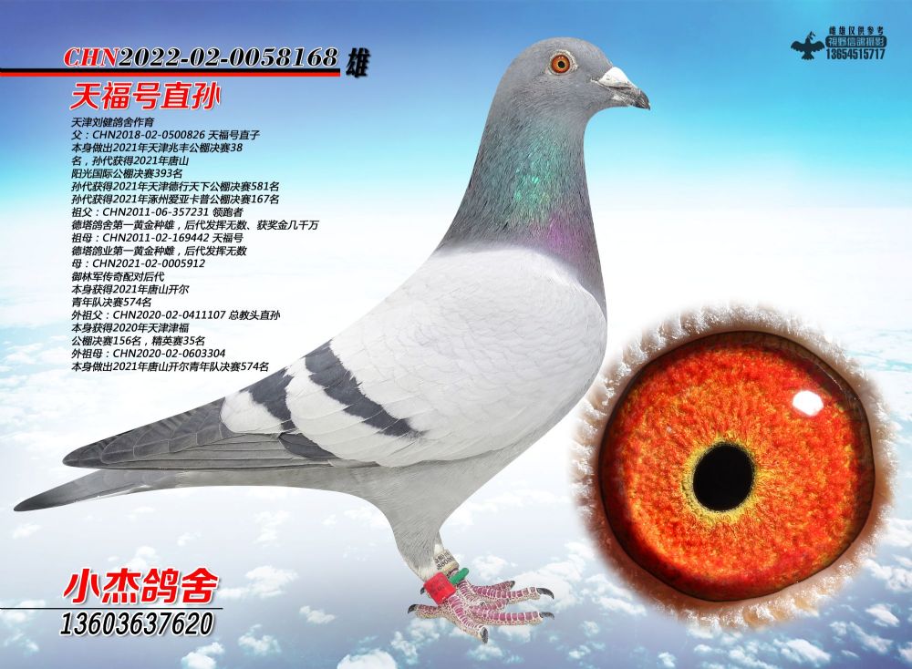 �츣̖(h��o)ֱ�O