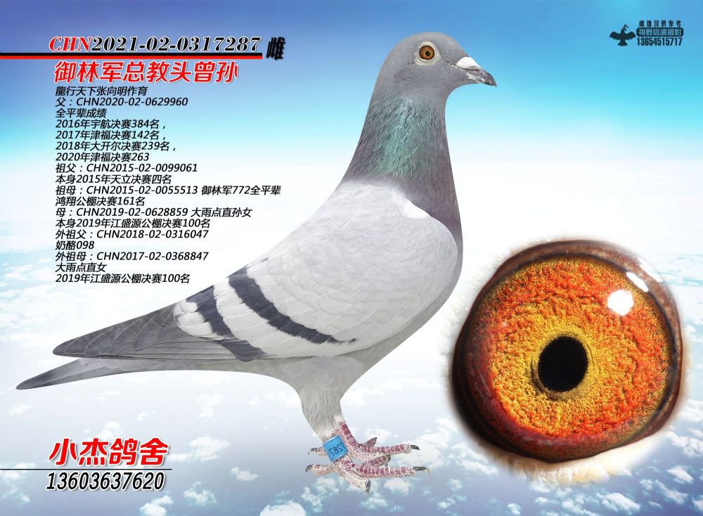 ������������