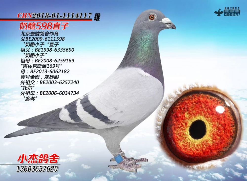 ����598ֱ��