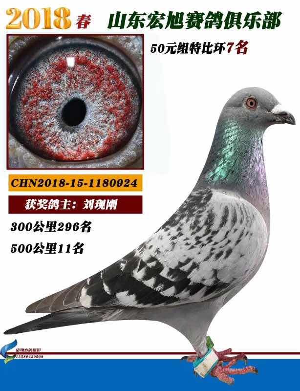 ����㘷���رȭh(hu��n)7��