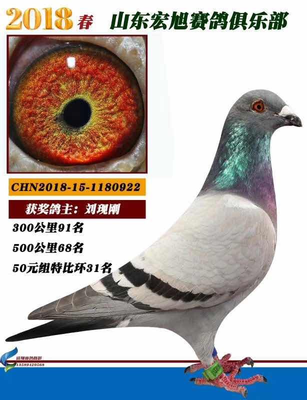 ����㘷���رȭh(hu��n)31��