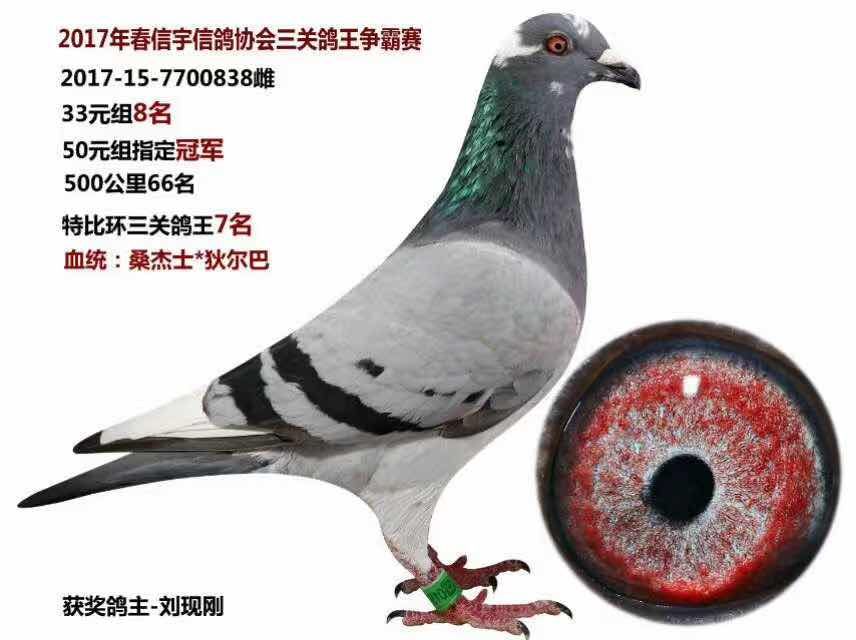 �رȭh(hu��n)���P(gu��n)����7��