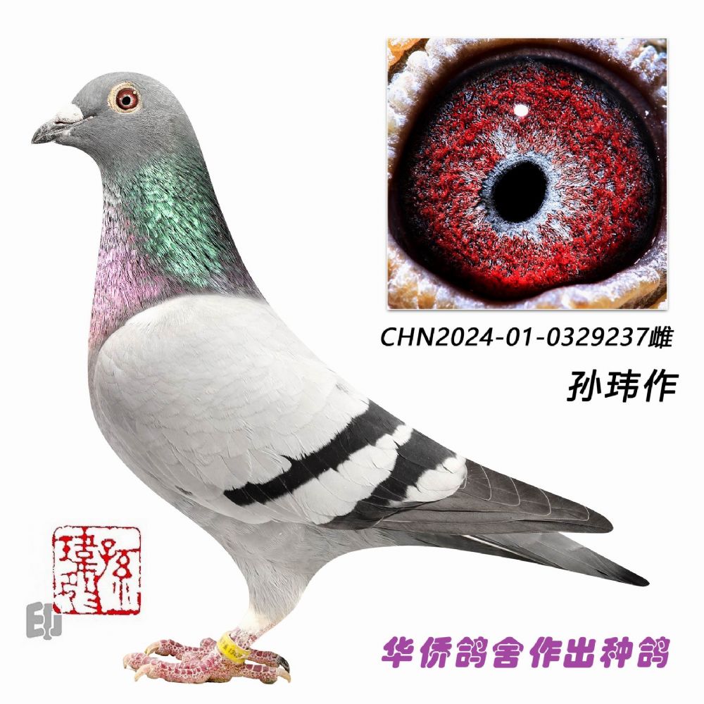 ����������ϵ������ʱ����ϵ237��