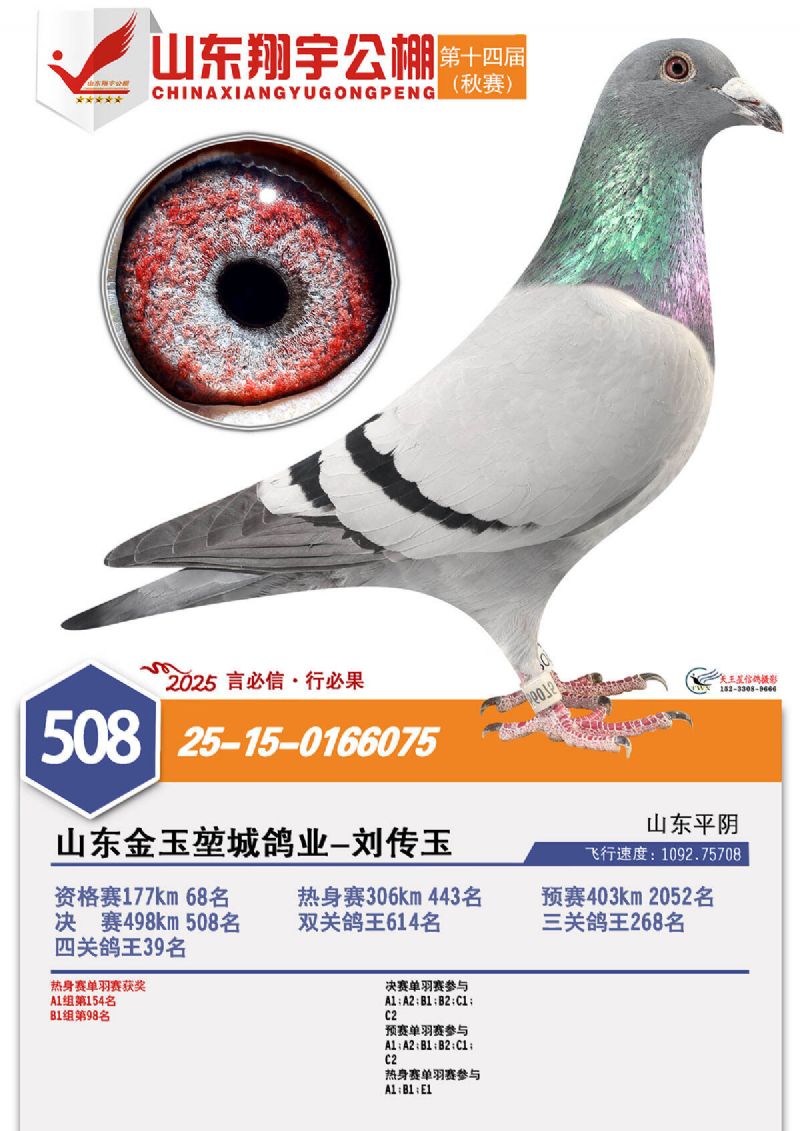 ɽ�������