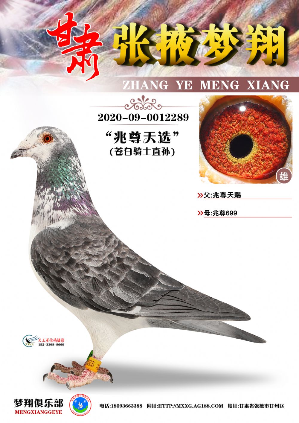 ������ѡ