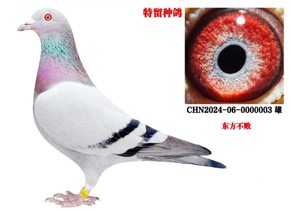 û����ã�ֻ�и���