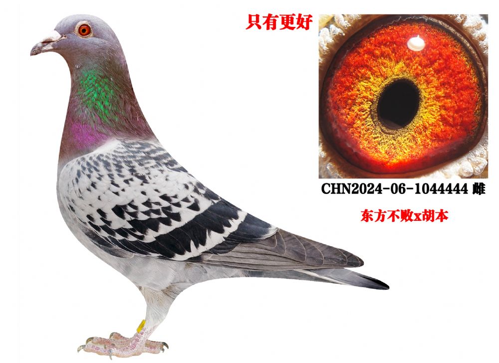 û����ã�ֻ�и���