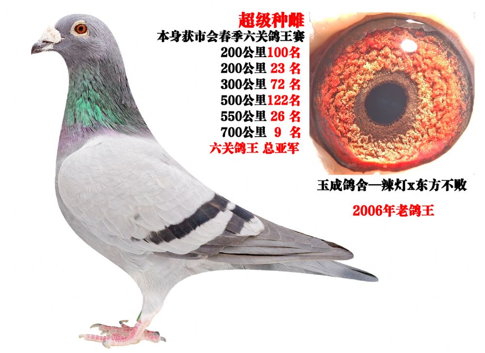 2006�����ظ������Ǿ�