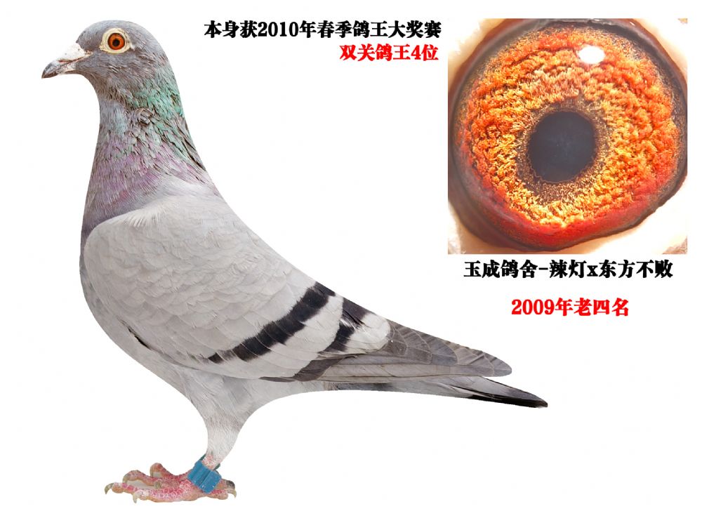 10�괺������4λ