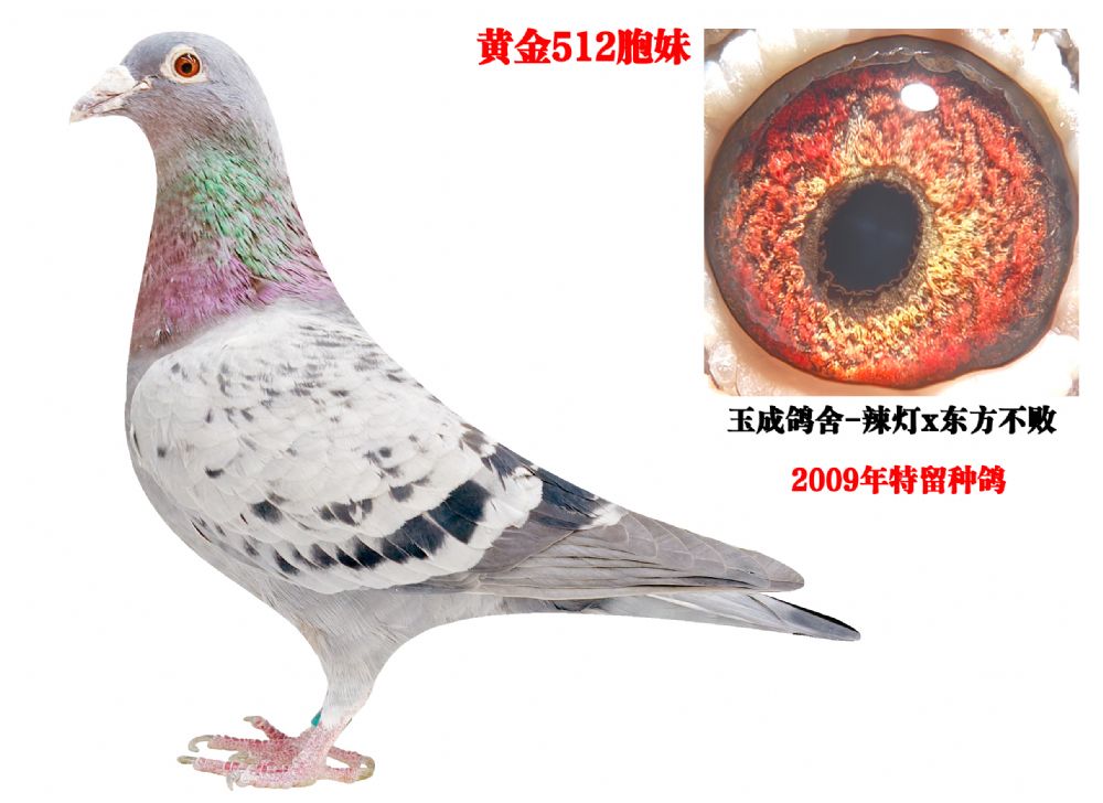 �ƽ�512���ã�����581