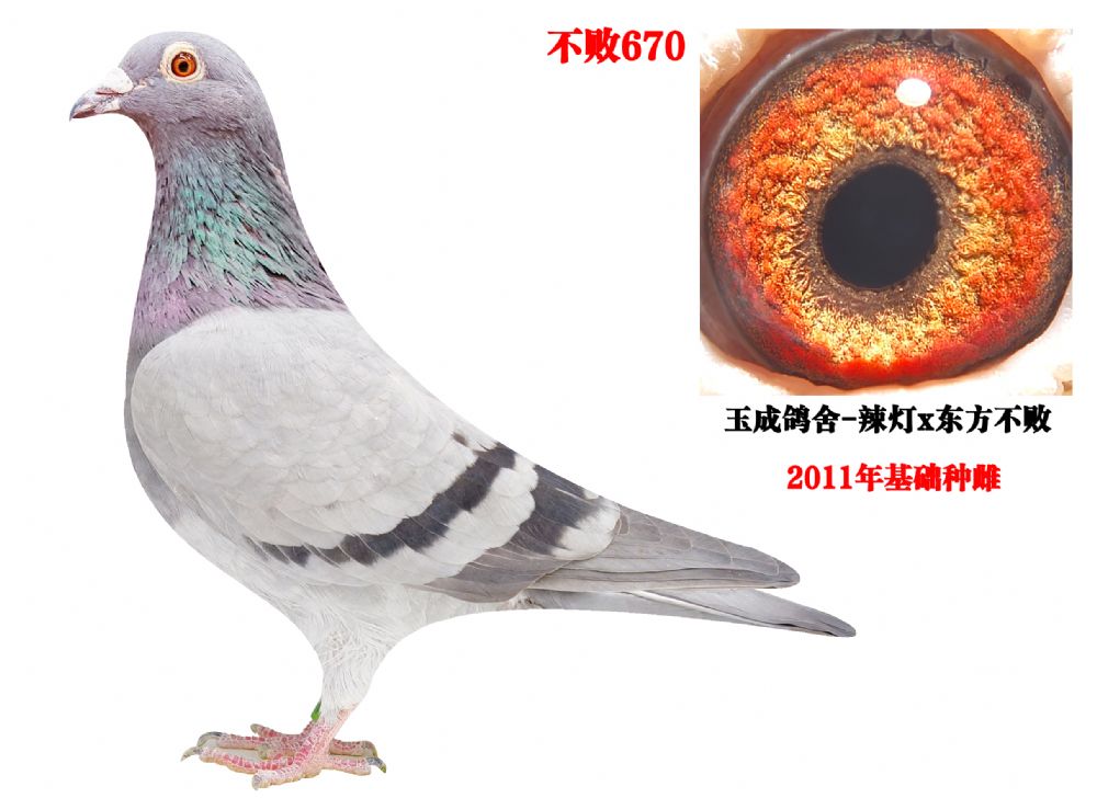 ����670�������ִ�