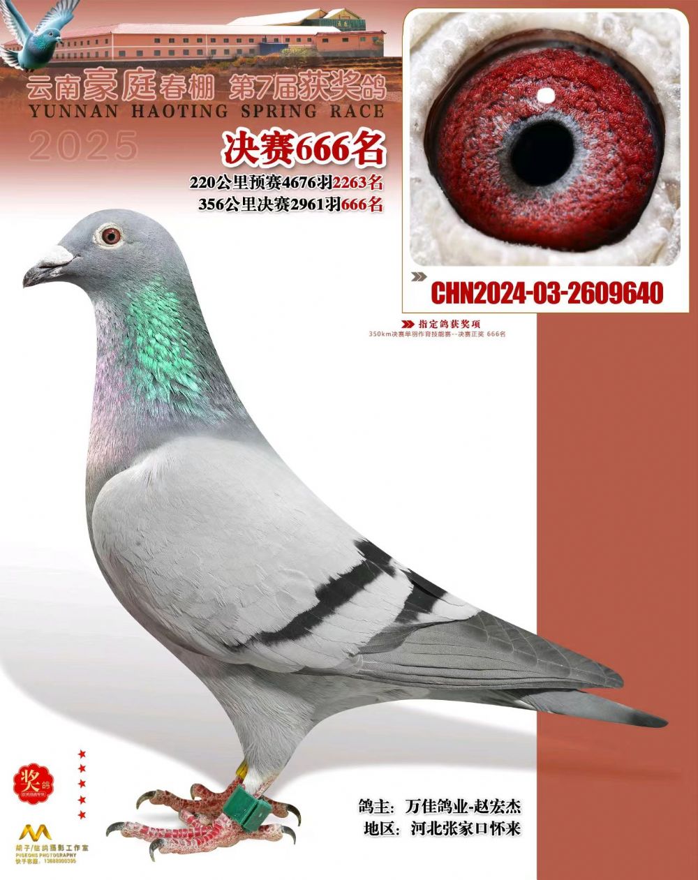 ΢�ňDƬ_20251222102806