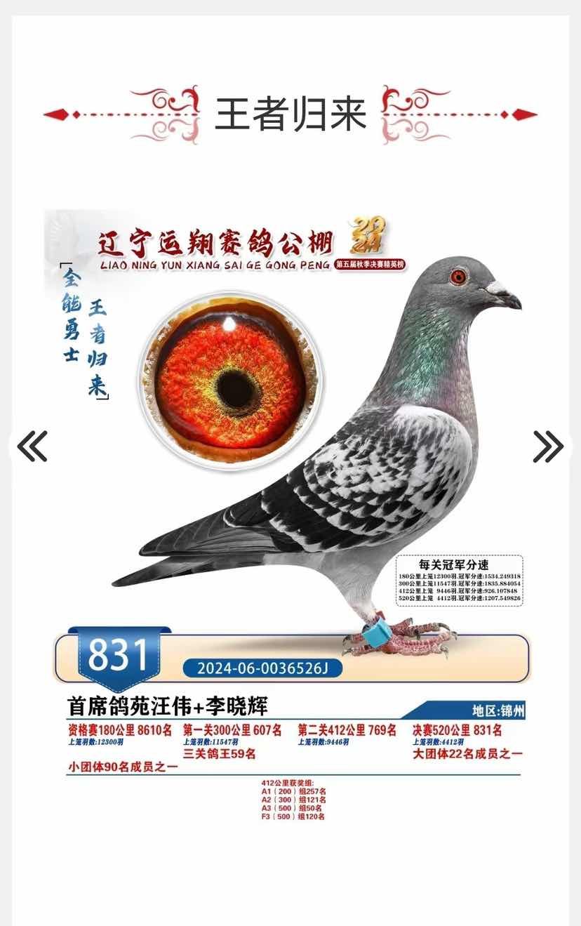 �������831������Ԥ��ʮ�������Ӵ�