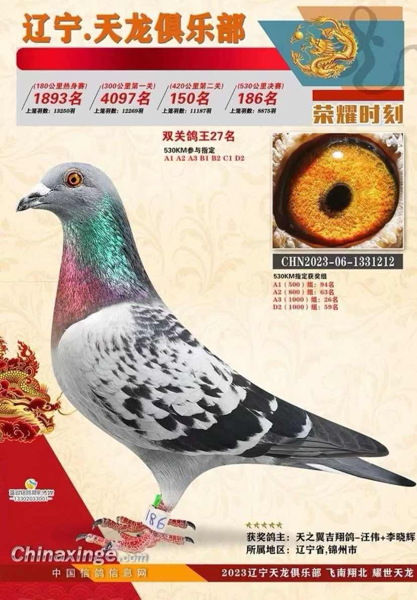 ����Ԥ��150������186��