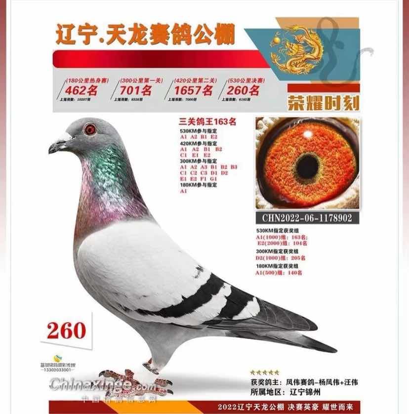 ��������260������Ԥ��ʮ�������Ӵ�