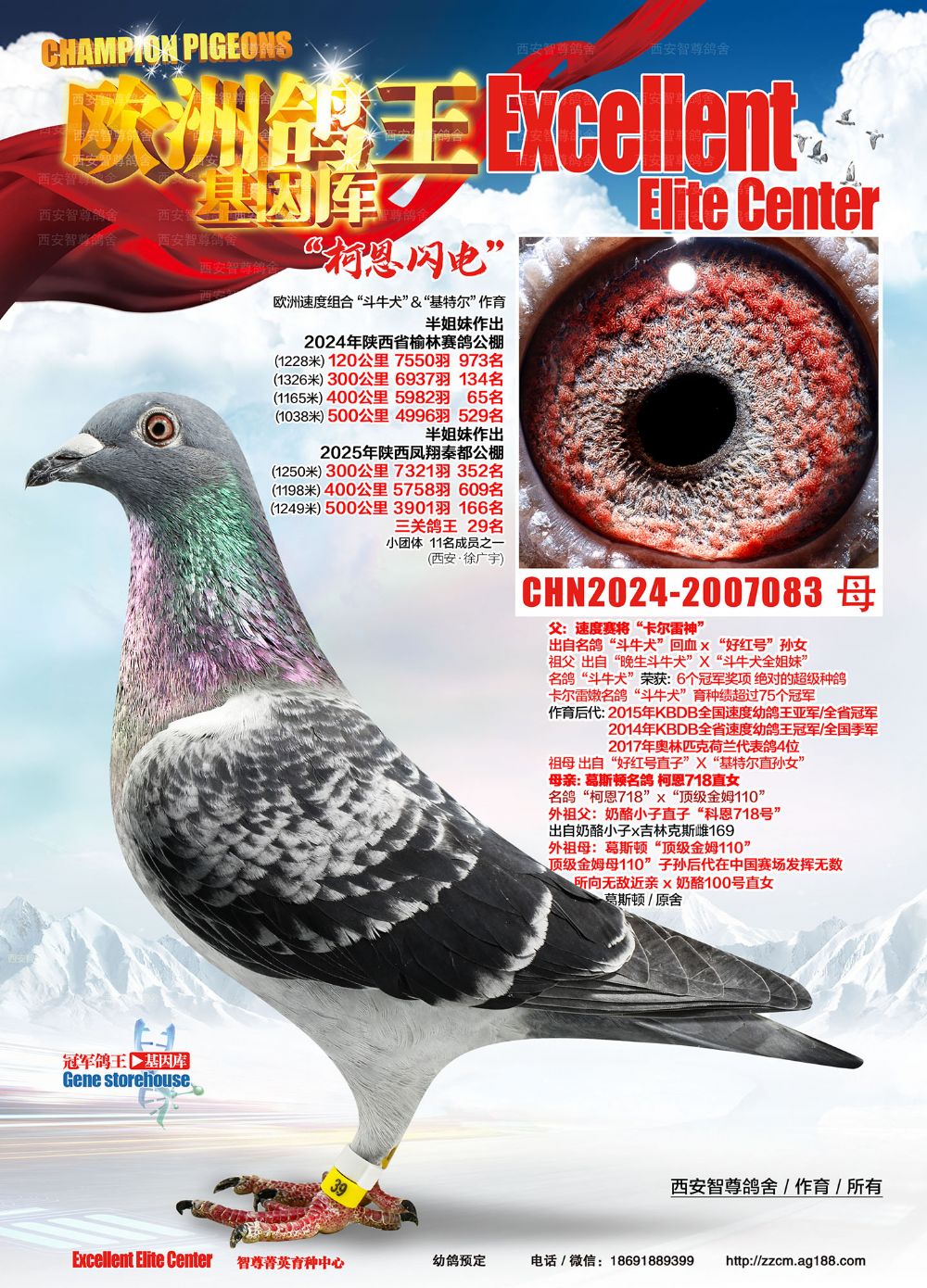 �¶�����