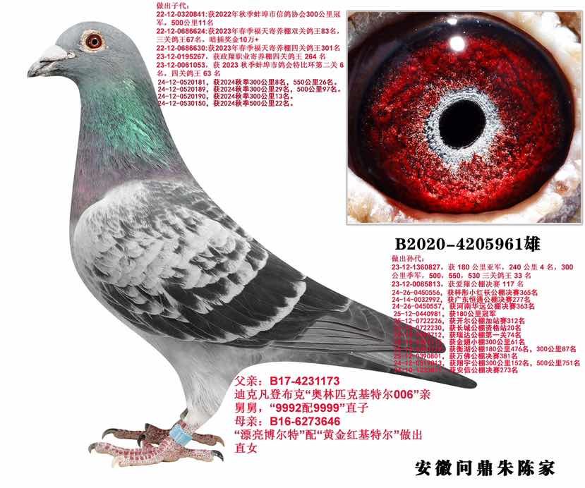 ���ǲ����ʶ�961