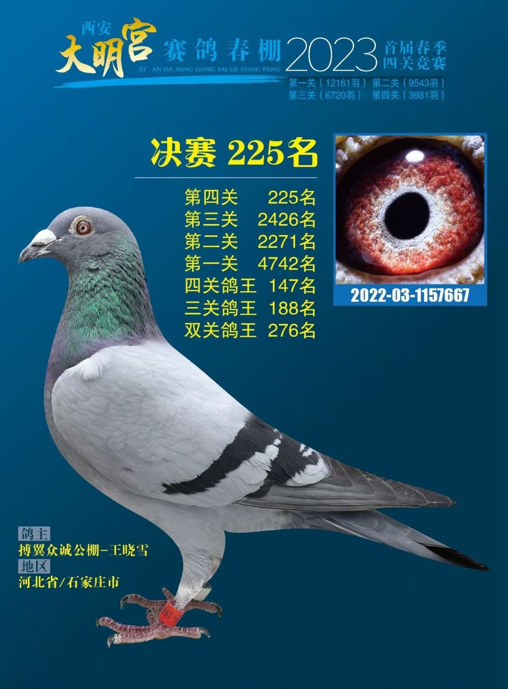 ������225