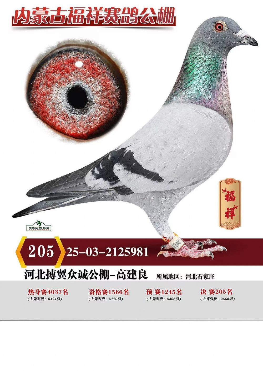 ��̩�����205