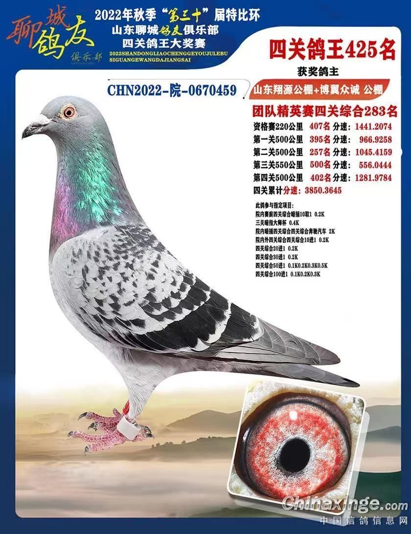 �ĳǸ��Ѿ��ֲ�425