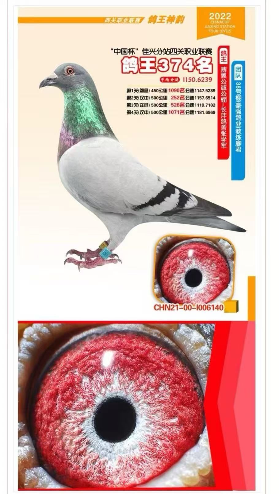 �Ĵ�����374