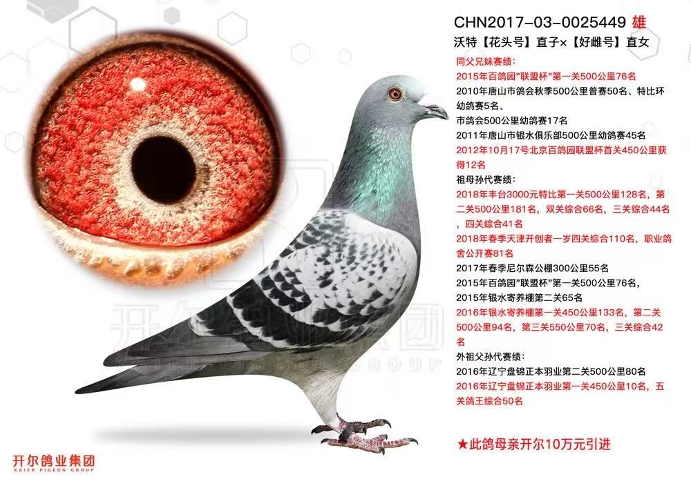 �ǱȻƽ����