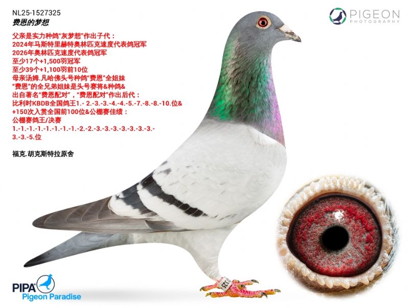 �Ѷ�������