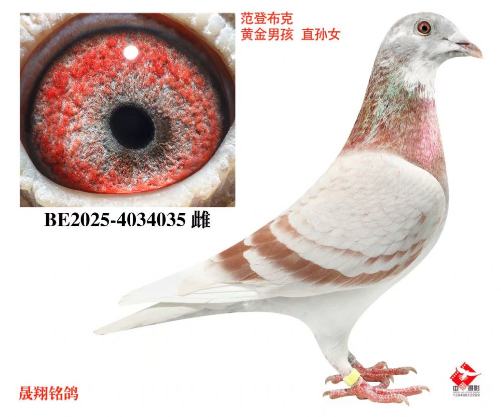 ���ƽ��Њ���ֱ��Ů