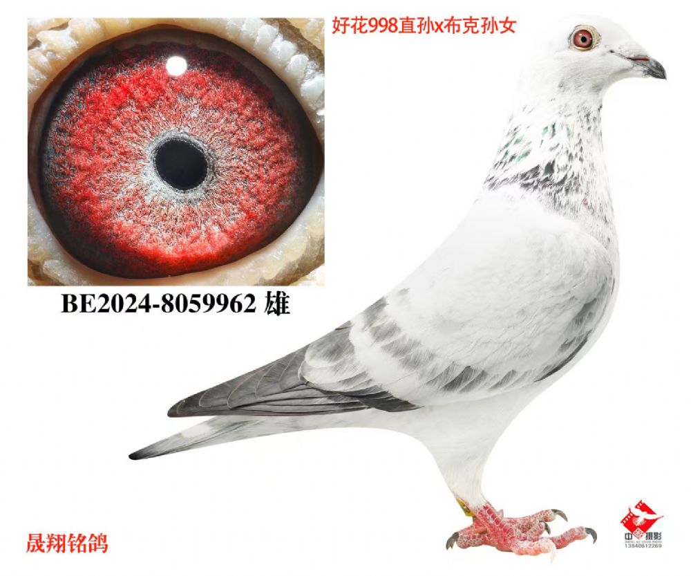 ���û�998��X�����ˡ���Ů