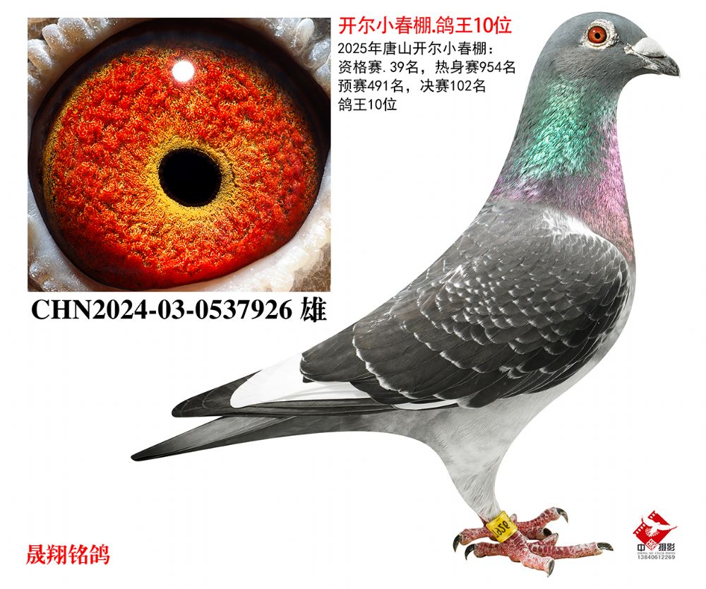 ����С����.����10λ