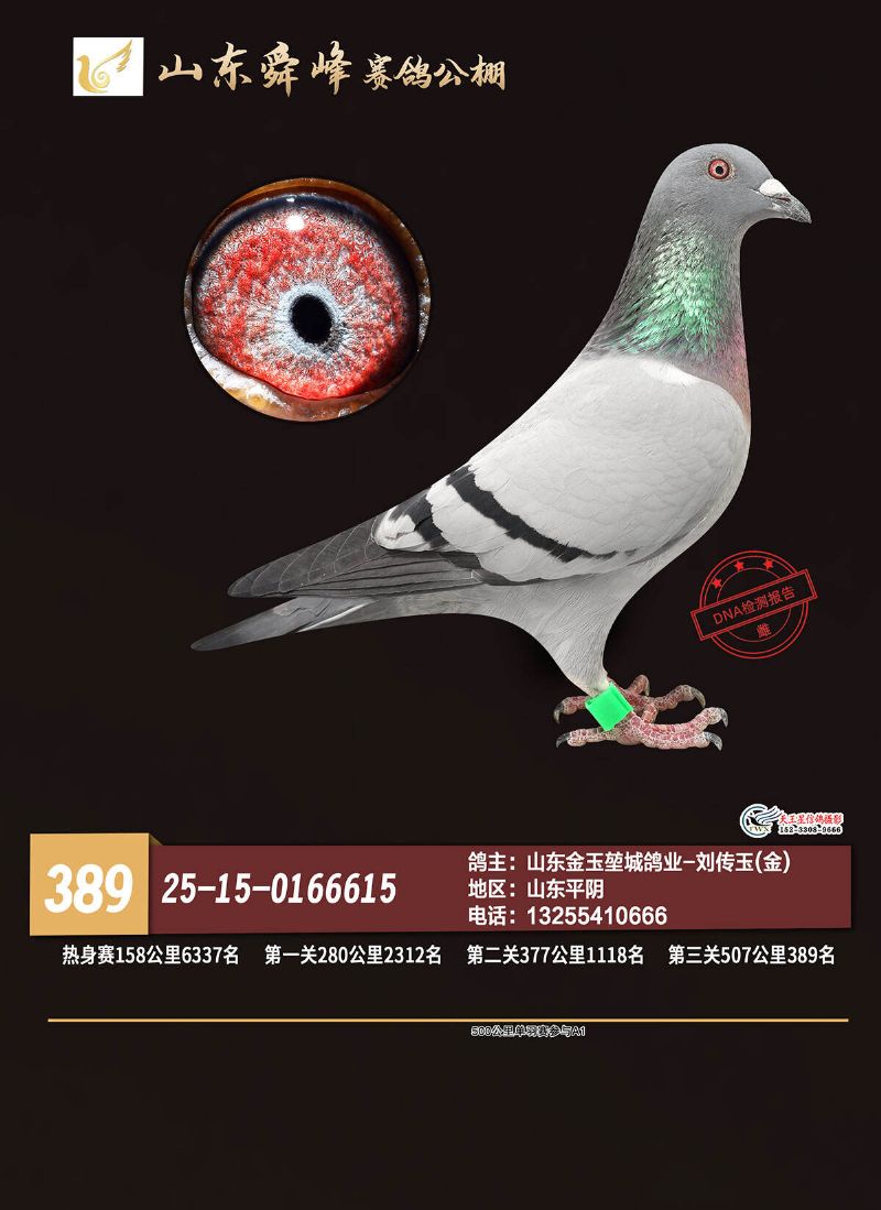 ɽ��˴�幫��