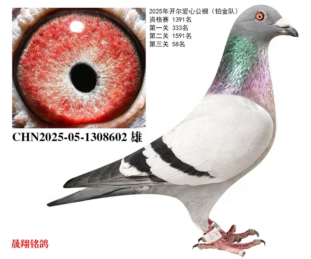 ����������.����58��