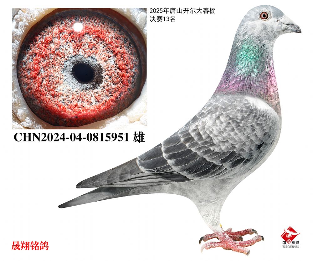 ��������.����13��