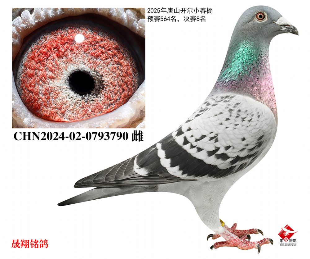 ����С����.����8��