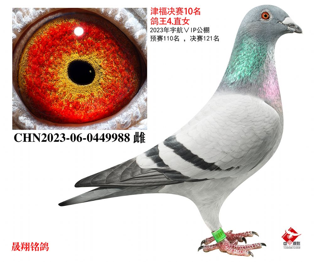 �򸣾���10��.����4λ.ֱŮ