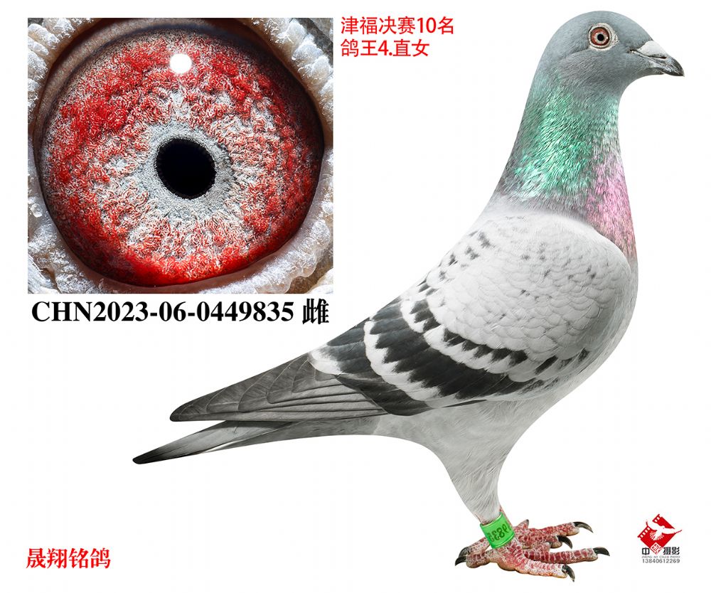 �򸣾���10��.����4λ.ֱŮ