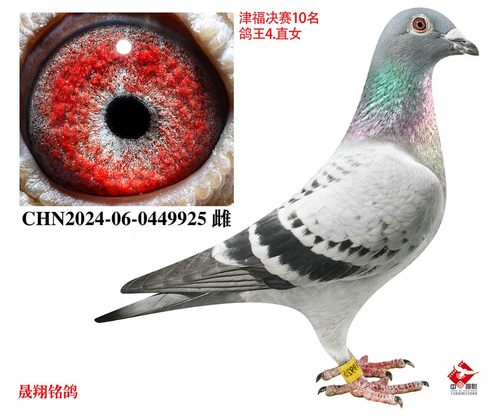 �򸣾���10��.����4λ.ֱŮ