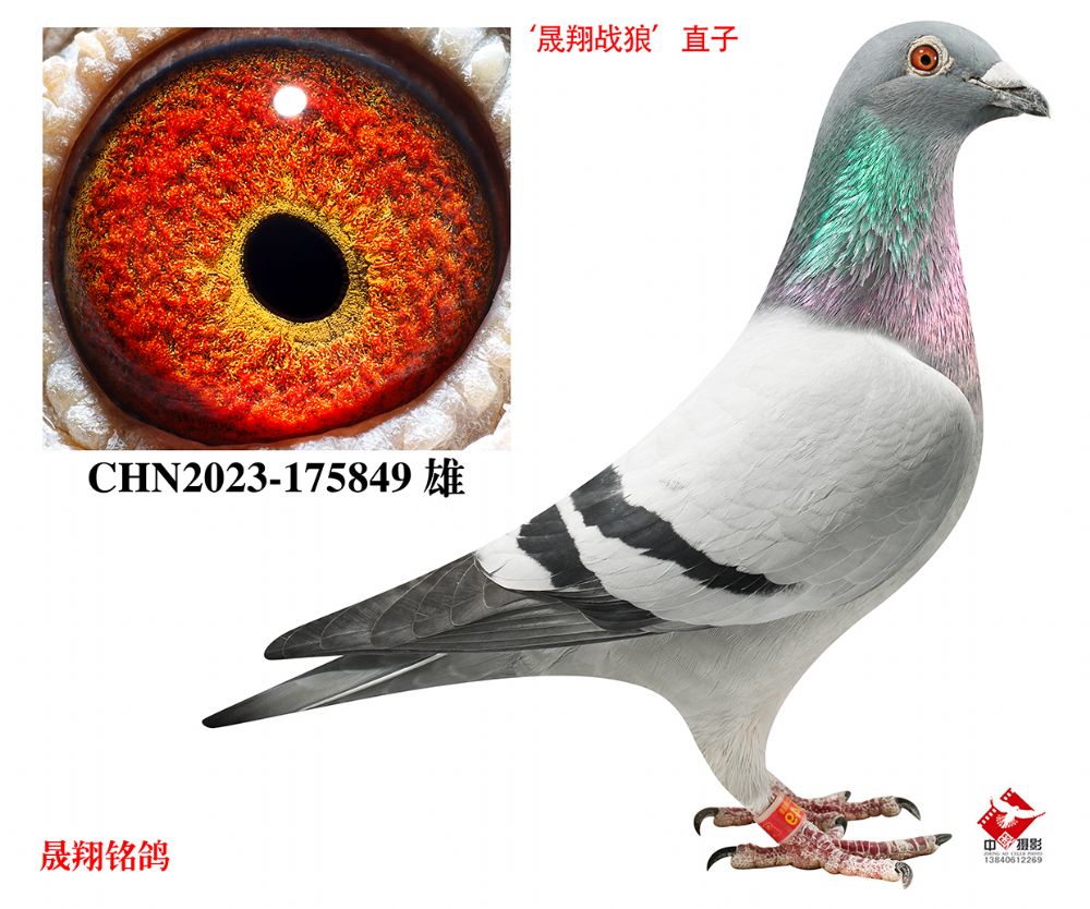 ������ս�ǡ�ֱ��