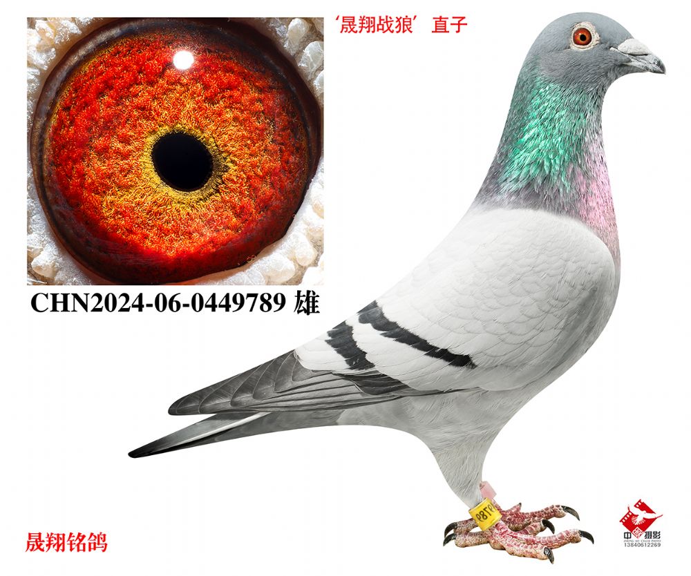 ������ս�ǡ�ֱ��