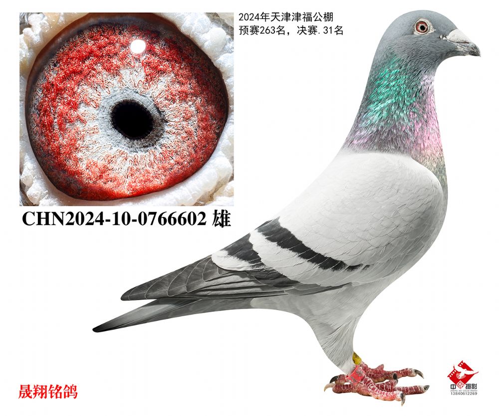 �򸣹���.����31��