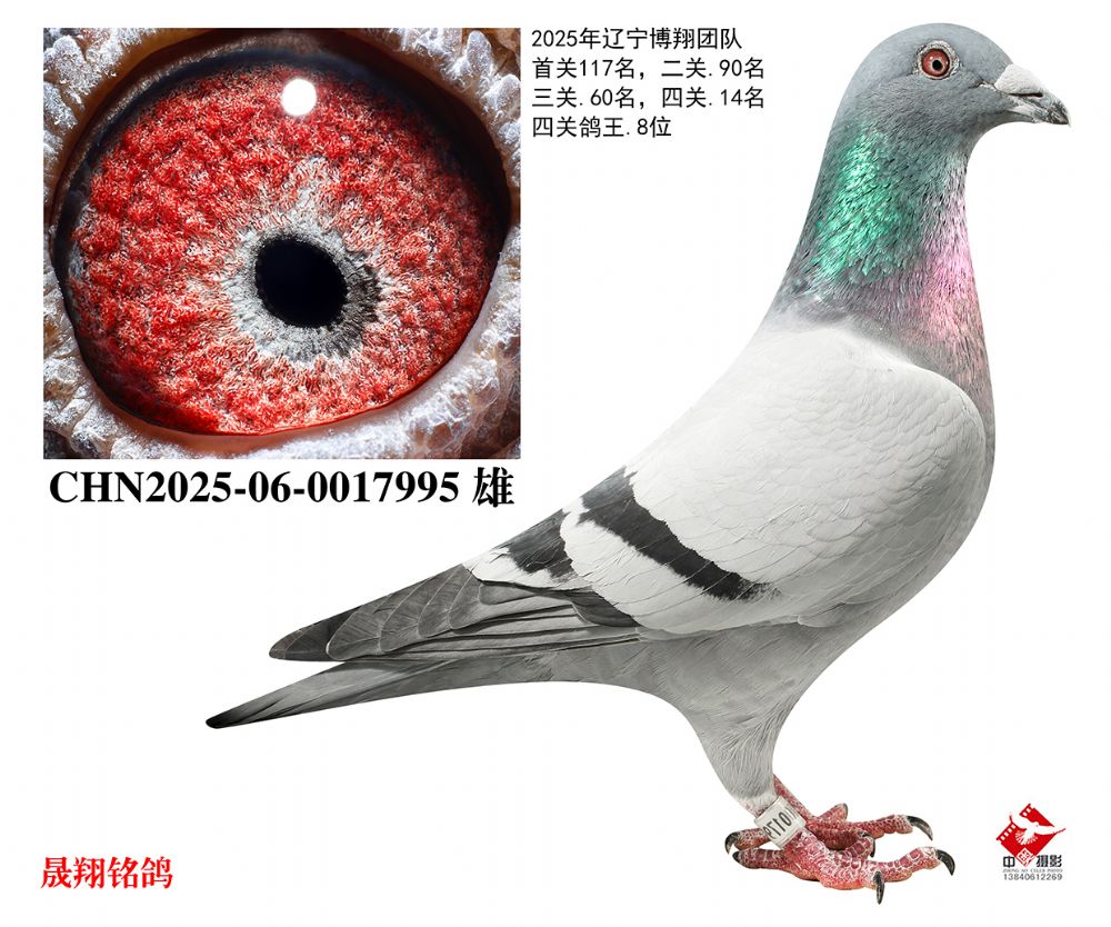 ���������8λ��