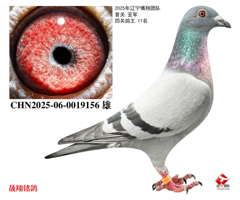 ���������.11λ��