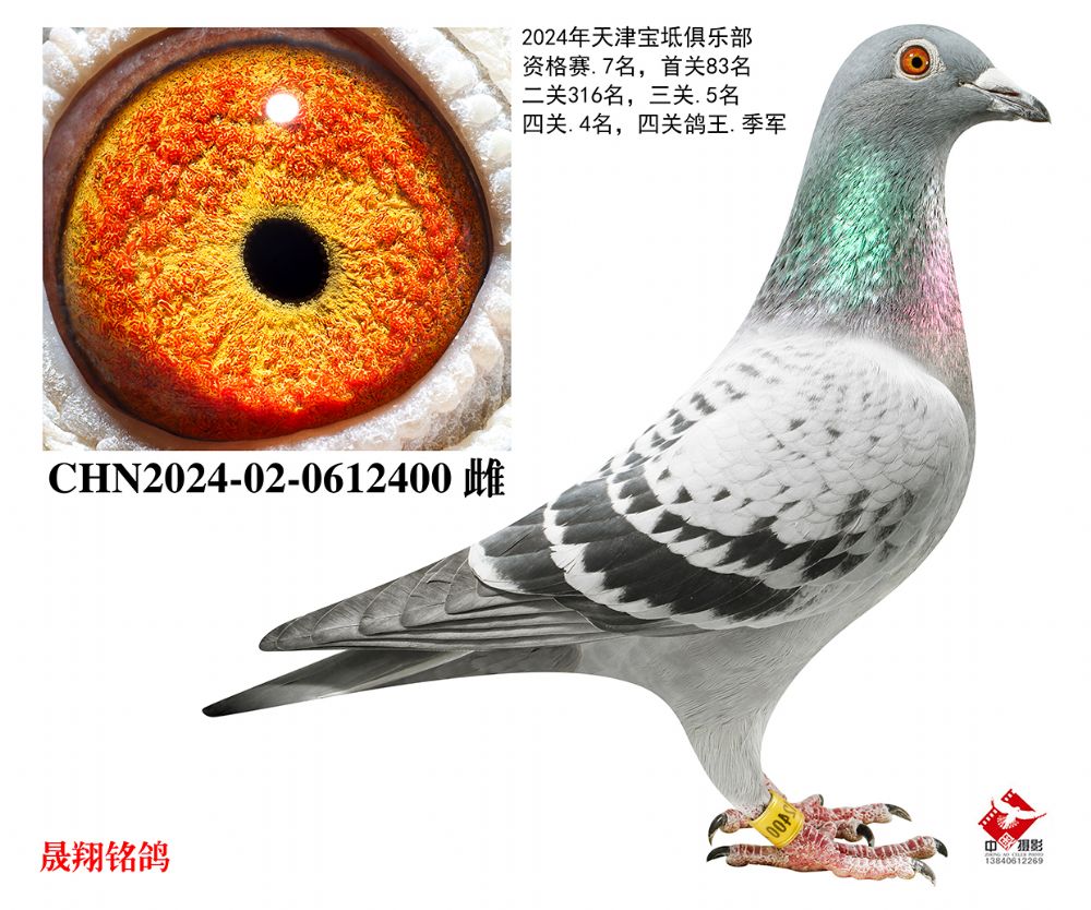 ��������Խ.����������