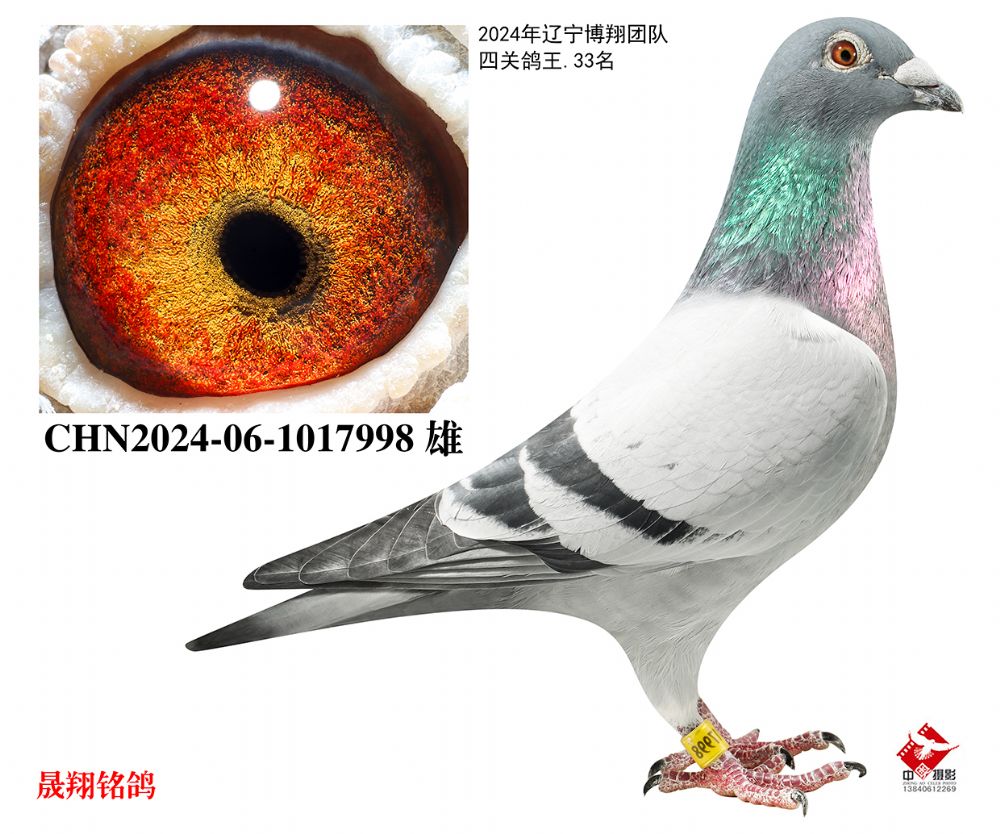 ���������33λ��