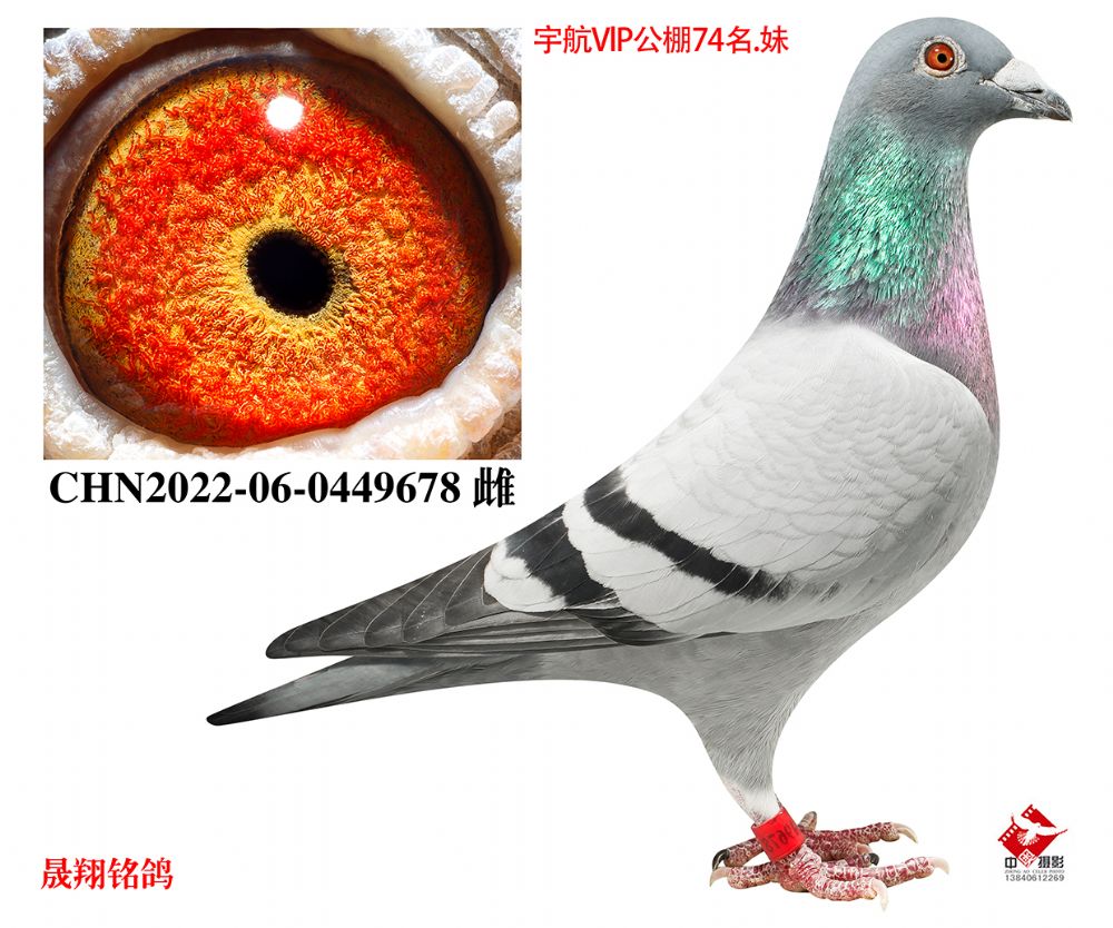 ��Ůģ�ء�ֱŮ