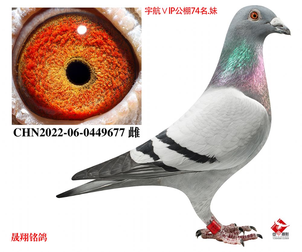 ��Ůģ�ء�ֱŮ